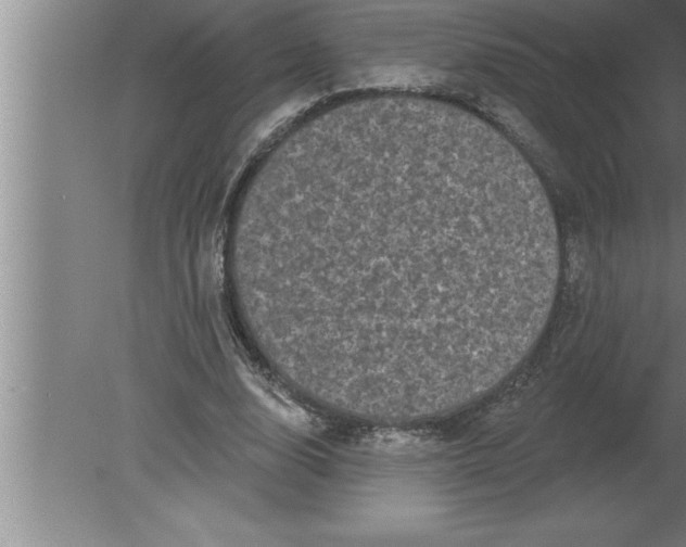 X0000080100632200612301919