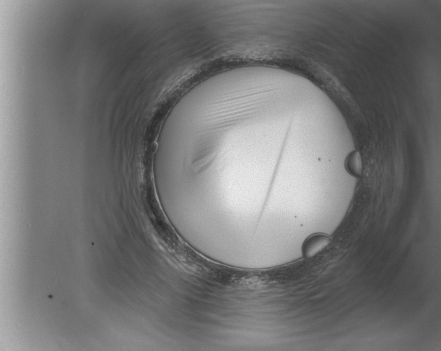 X0000080100635200612301919