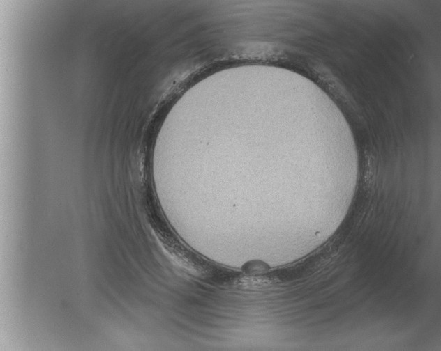 X0000080100636200612301919