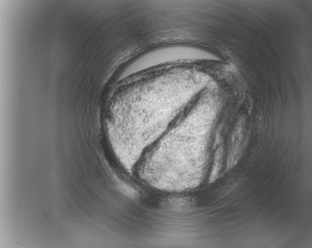 X0000080100638200612301919