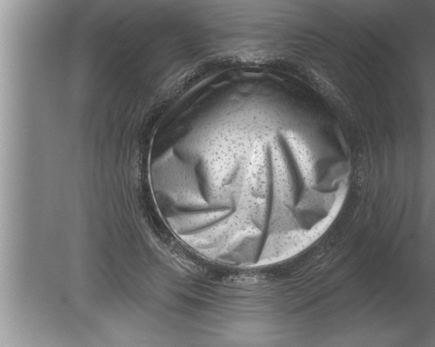 X0000080100639200612301919