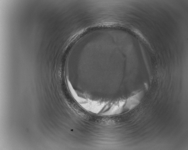 X0000080100640200612301919