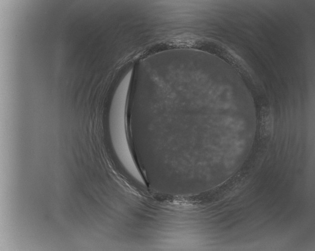 X0000080100641200612301919