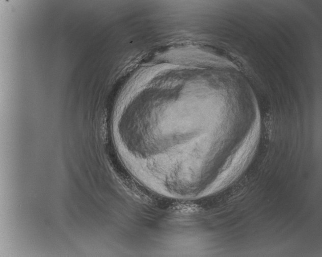 X0000080100642200612301919