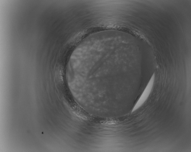 X0000080100643200612301919