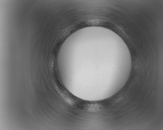 X0000080100645200612301919