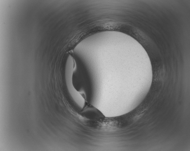 X0000080100646200612301919