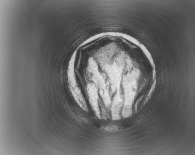 X0000080100647200612301919