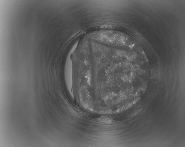 X0000080100648200612301919