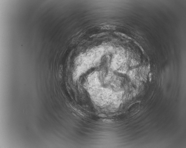 X0000080100649200612301919