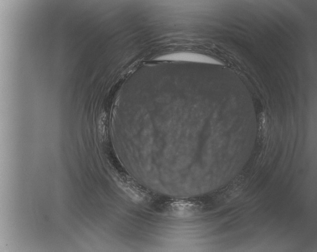 X0000080100650200612301919