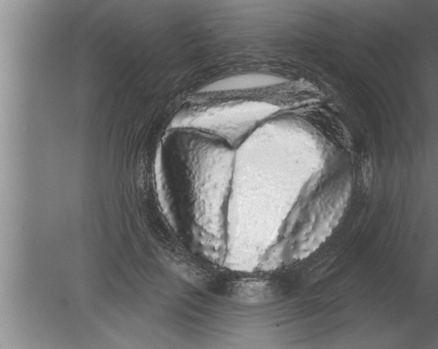 X0000080100651200612301919