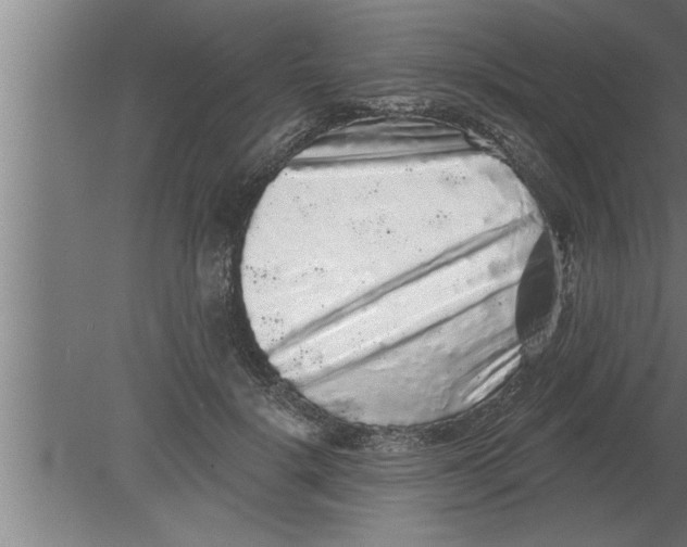 X0000080100652200612301919