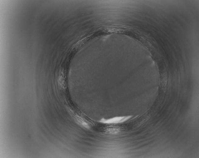 X0000080100653200612301919