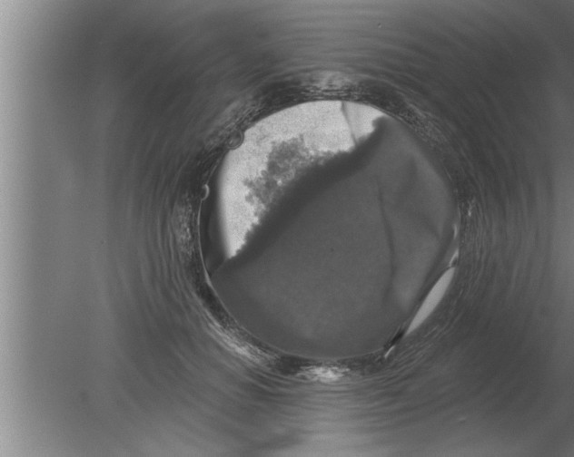 X0000080100654200612301919