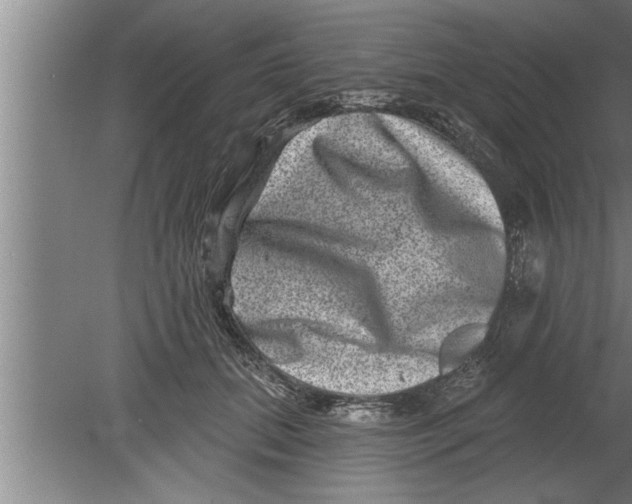 X0000080100655200612301919