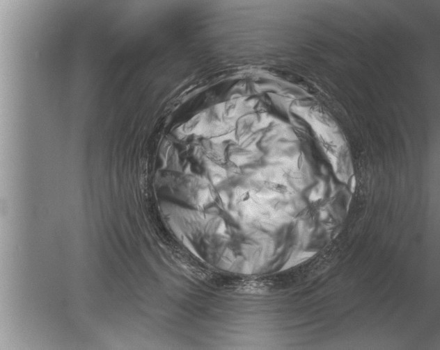 X0000080100656200612301919