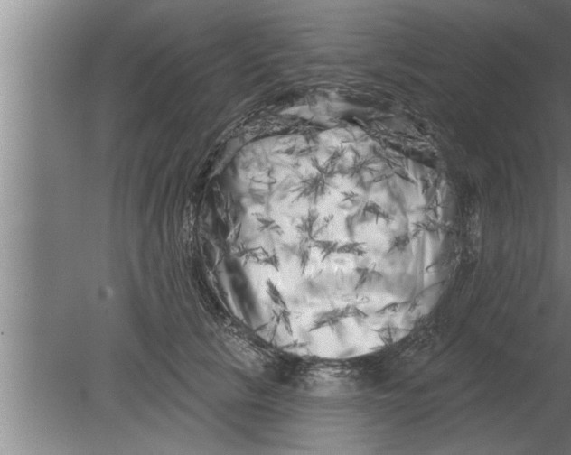 X0000080100657200612301919