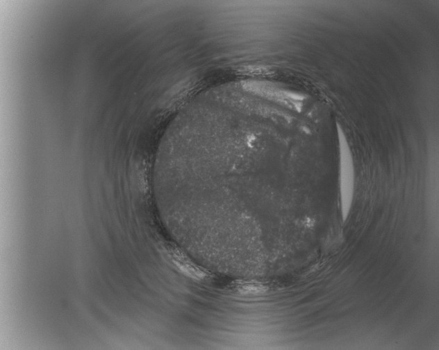 X0000080100658200612301919