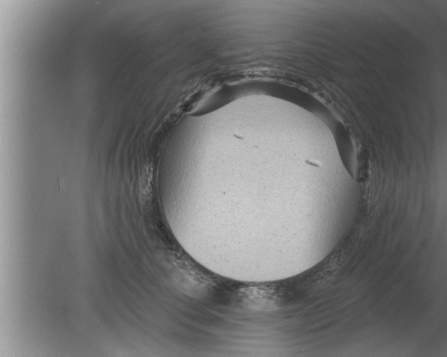 X0000080100660200612301919