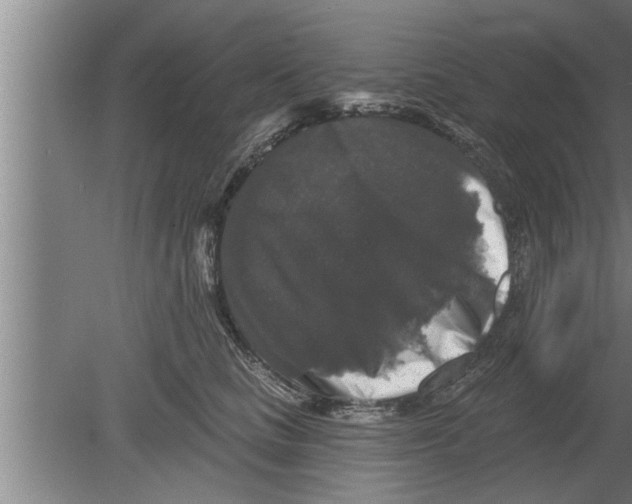 X0000080100661200612301919