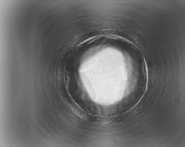 X0000080100662200612301919