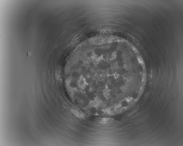 X0000080100663200612301919