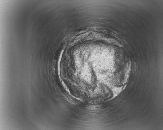 X0000080100664200612301919