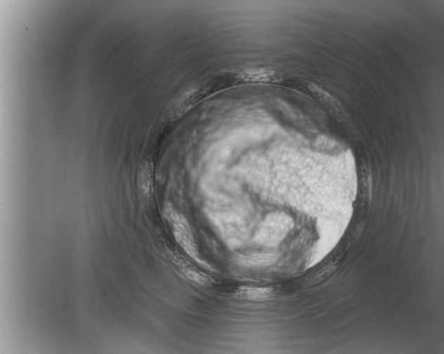 X0000080100665200612301919