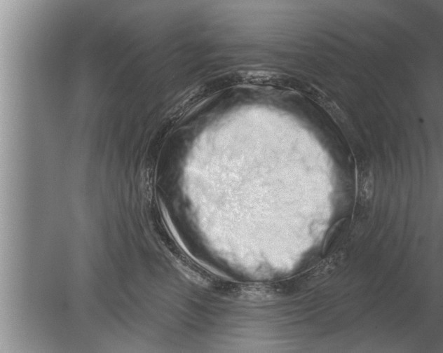 X0000080100666200612301919