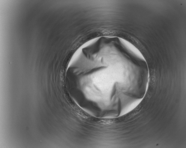 X0000080100667200612301919