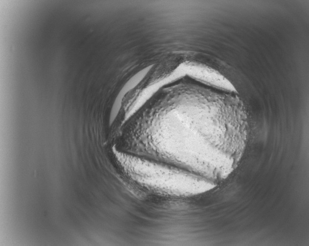 X0000080100668200612301919