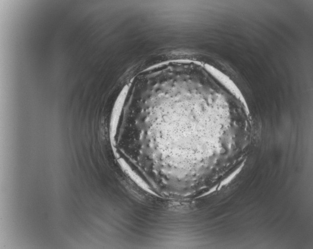 X0000080100669200612301919