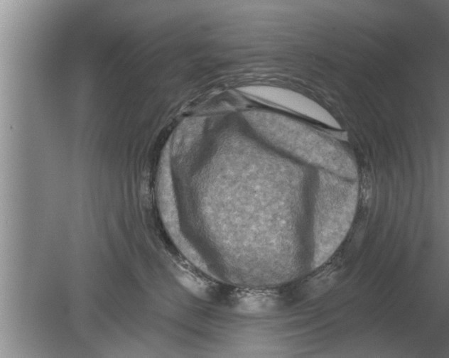 X0000080100670200612301919