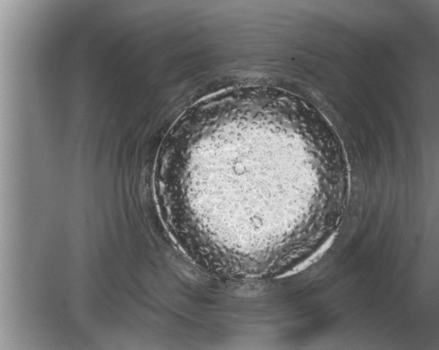 X0000080100671200612301919