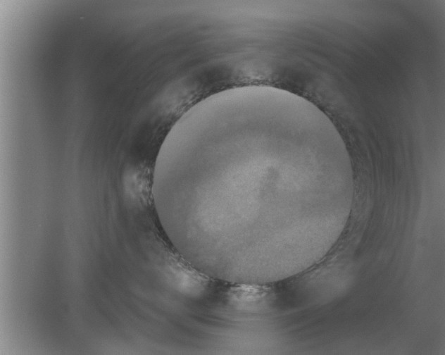 X0000080100672200612301919