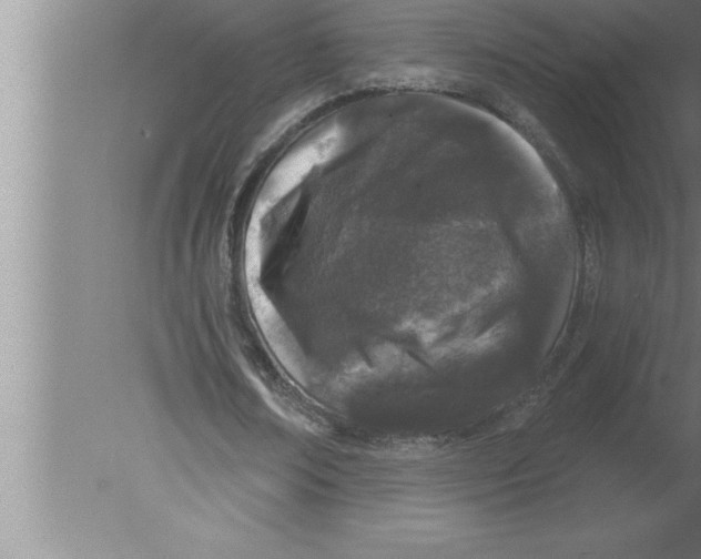 X0000080100674200612301918