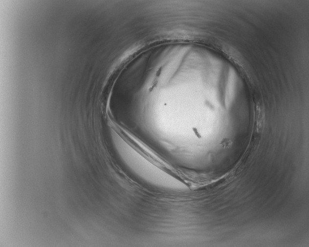 X0000080100675200612301918