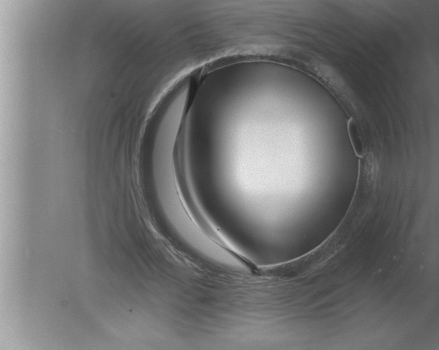 X0000080100676200612301918