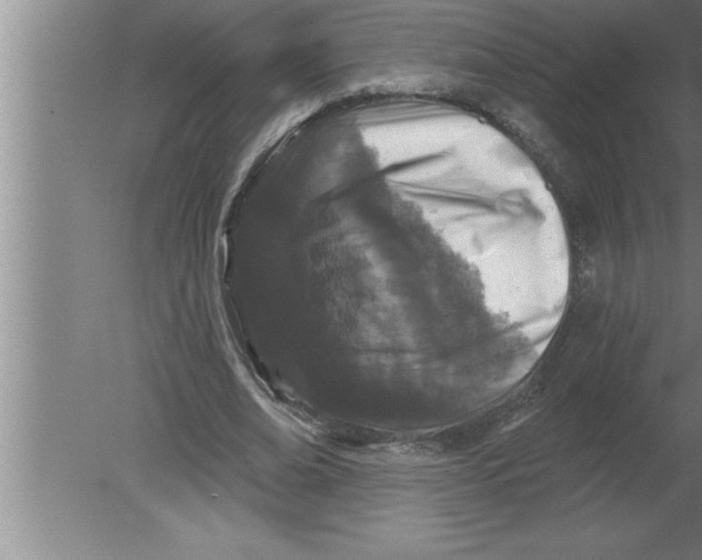 X0000080100678200612301918