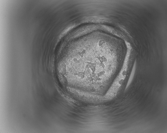 X0000080100679200612301918