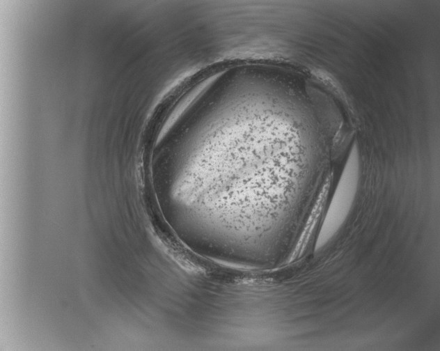 X0000080100680200612301918