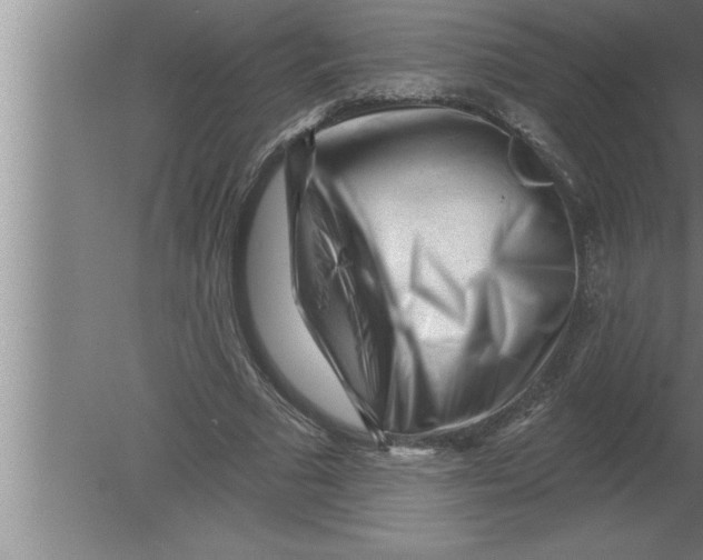 X0000080100681200612301918