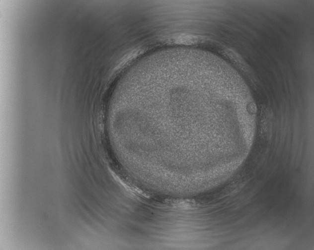 X0000080100683200612301918