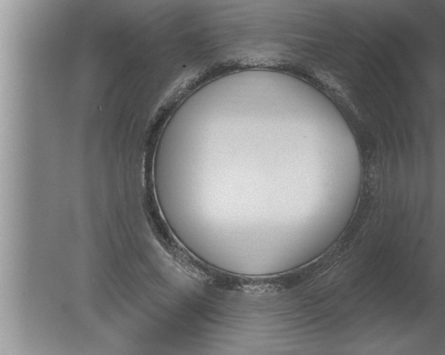 X0000080100686200612301918