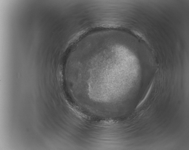 X0000080100688200612301918