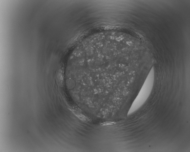 X0000080100691200612301918