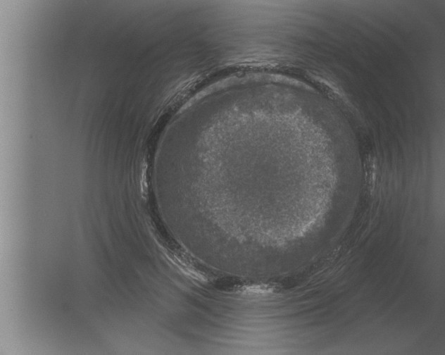 X0000080100692200612301918