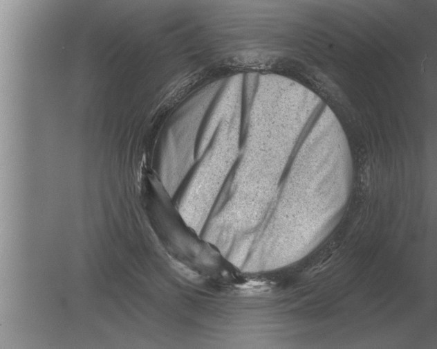 X0000080100693200612301918