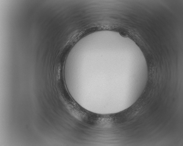 X0000080100694200612301918